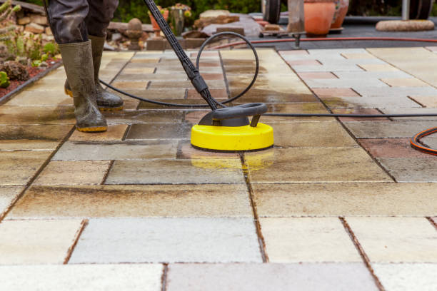 Best Driveway Pressure Washing  in Bear Creek, AL